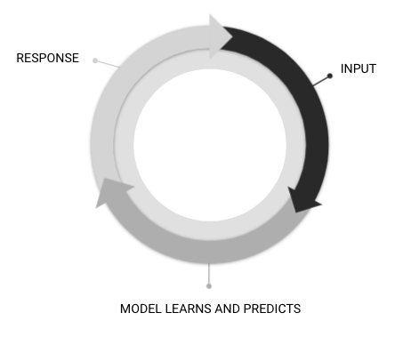 A three-part cycle, with "Input" leading to "Model Learns and Predicts" leading to "Response" leading back to "Input"