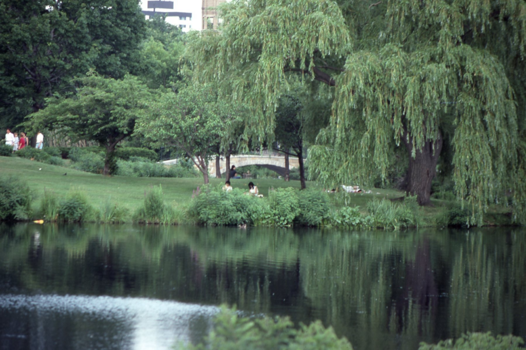 A body of water with lush trees and grass behind it. A stone bridge is visible in the distance