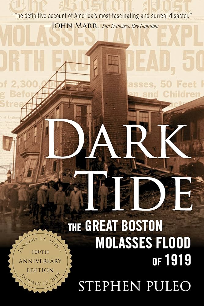 Cover of Dark Tide