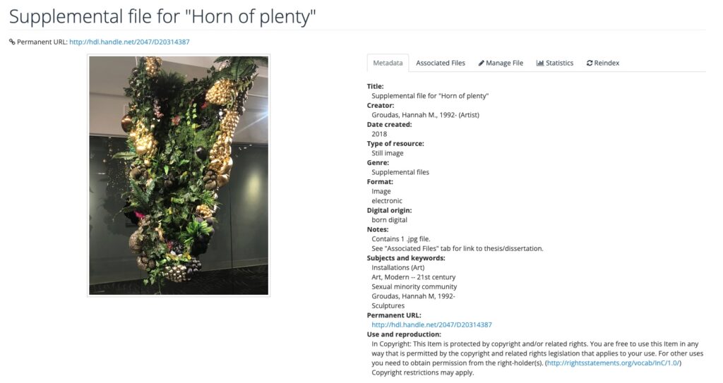 Screenshot of an item in the DRS titled "Supplemental file for 'Horn of plenty.'" A photo of a decorative green plant is on the left and metadata is listed on the right